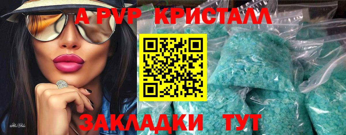 A PVP СК КРИС Дагестанские Огни