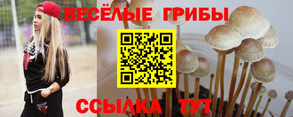 Псилоцибиновые грибы ЛСД Дагестанские Огни